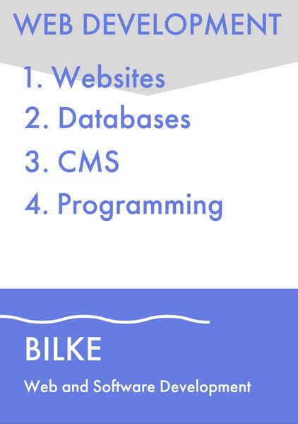 Web development - websites - databases - CMS - programming